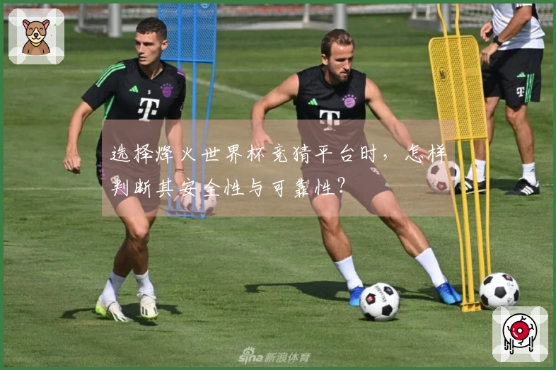 选择烽火世界杯竞猜平台时，怎样判断其安全性与可靠性？