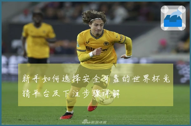 新手如何选择安全可靠的世界杯竞猜平台及下注步骤详解