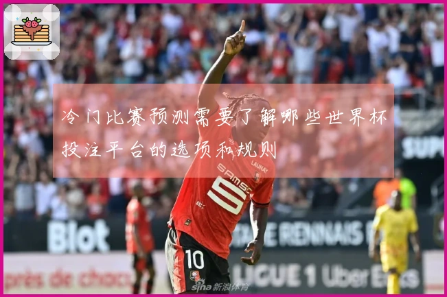 冷门比赛预测需要了解哪些世界杯投注平台的选项和规则