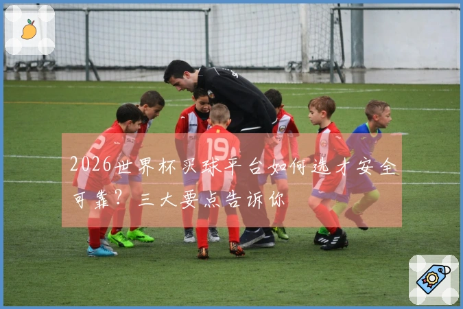 2026世界杯买球平台如何选才安全可靠？三大要点告诉你
