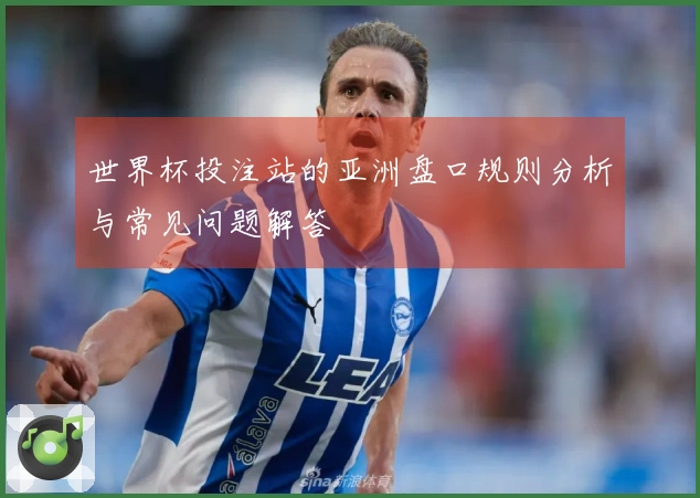 世界杯投注站的亚洲盘口规则分析与常见问题解答