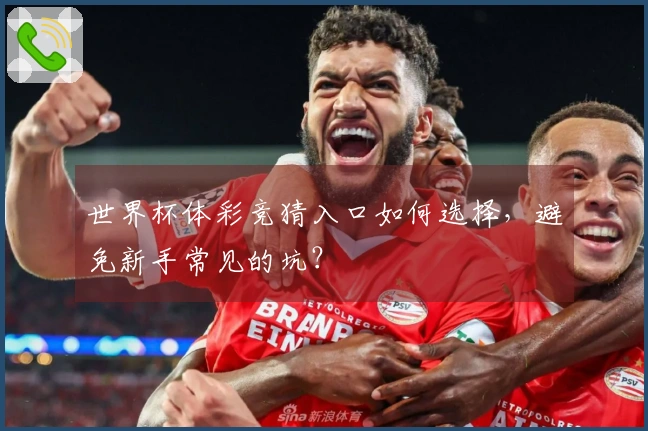 世界杯体彩竞猜入口如何选择，避免新手常见的坑？