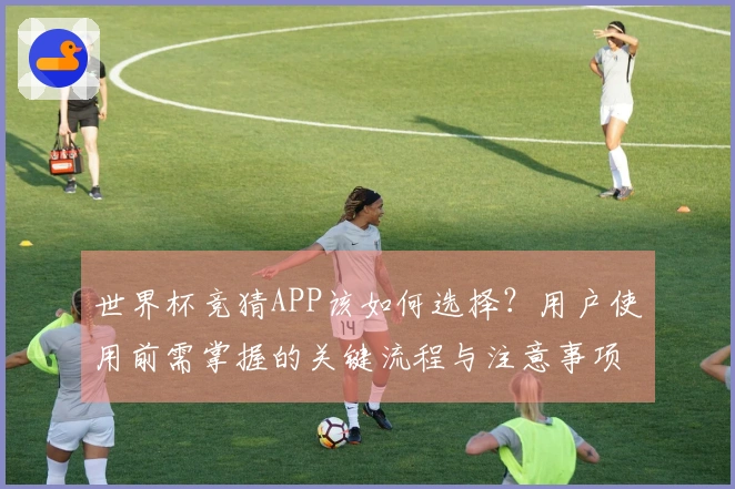 世界杯竞猜APP该如何选择？用户使用前需掌握的关键流程与注意事项