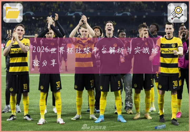 2026世界杯让球平台解析与实战经验分享