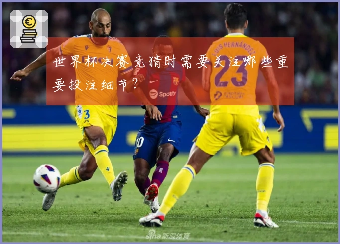 世界杯决赛竞猜时需要关注哪些重要投注细节？