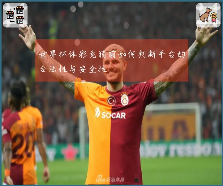 世界杯体彩竞猜前如何判断平台的合法性与安全性