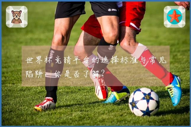 世界杯竞猜平台的选择标准与常见陷阱，你是否了解？