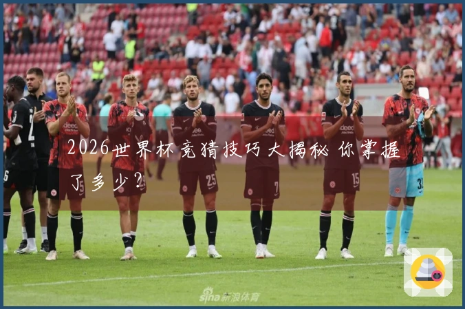2026世界杯竞猜技巧大揭秘 你掌握了多少？