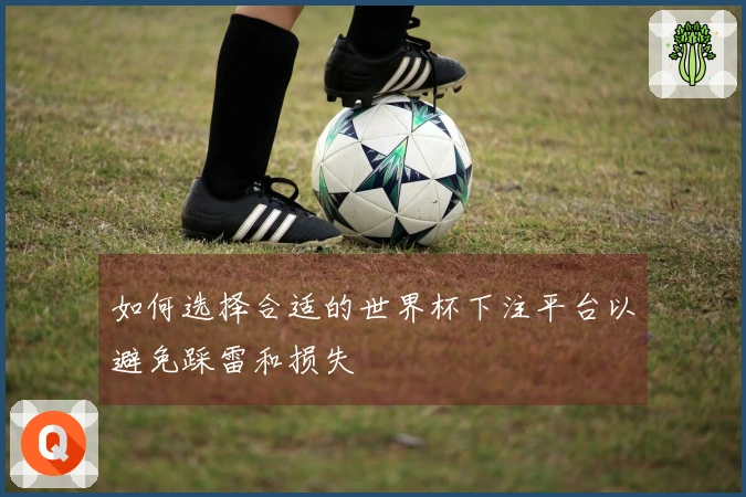 如何选择合适的世界杯下注平台以避免踩雷和损失