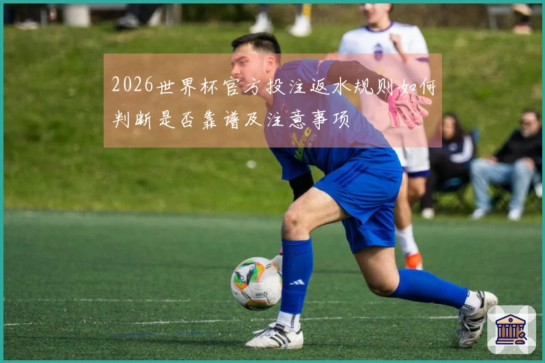 2026世界杯官方投注返水规则如何判断是否靠谱及注意事项