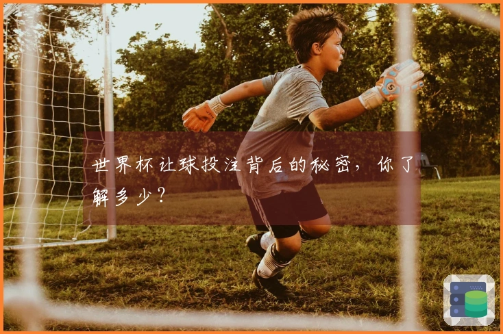世界杯让球投注背后的秘密，你了解多少？
