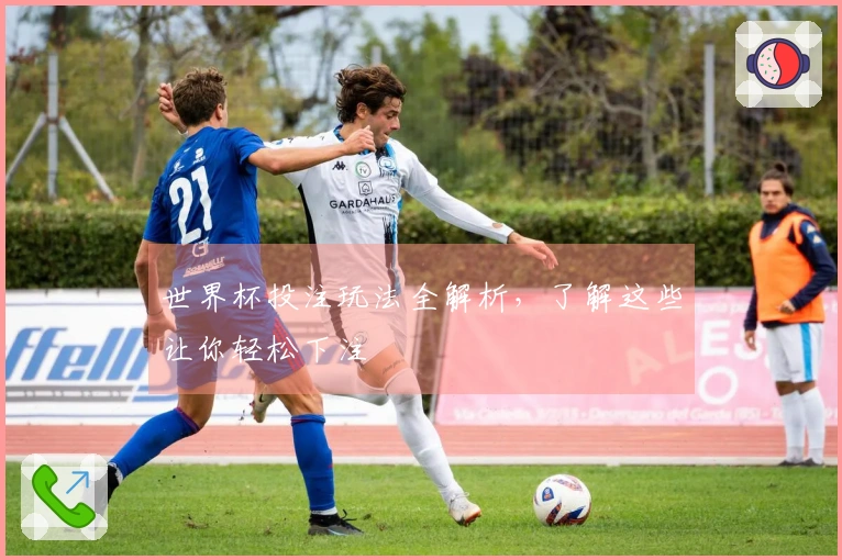 世界杯投注玩法全解析，了解这些让你轻松下注