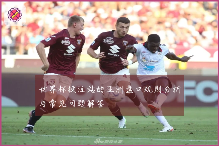 世界杯投注站的亚洲盘口规则分析与常见问题解答