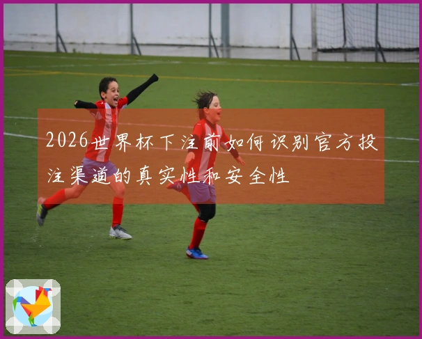 2026世界杯下注前如何识别官方投注渠道的真实性和安全性