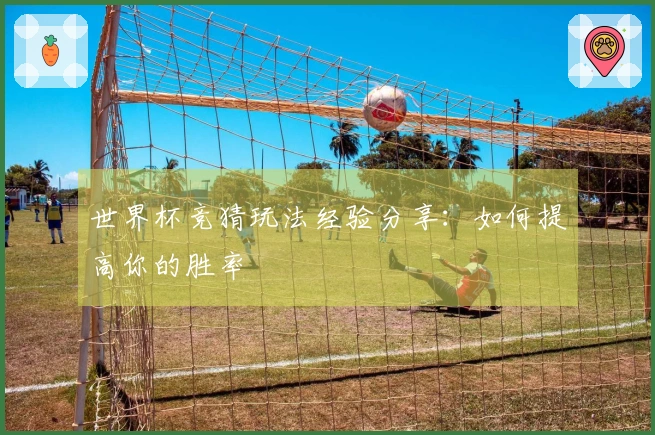 世界杯竞猜玩法经验分享：如何提高你的胜率