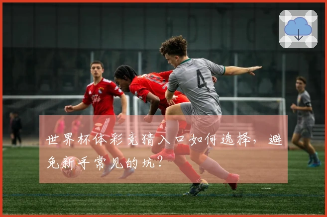 世界杯体彩竞猜入口如何选择，避免新手常见的坑？