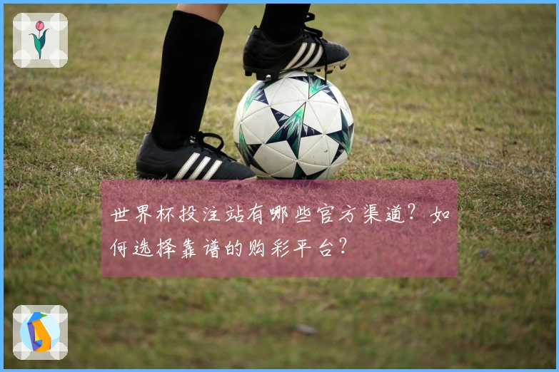 世界杯投注站有哪些官方渠道？如何选择靠谱的购彩平台？