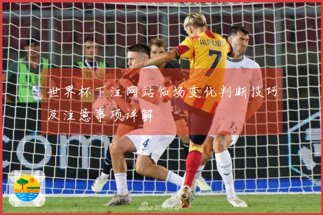世界杯下注网站临场变化判断技巧及注意事项详解