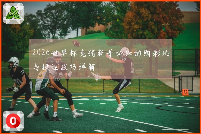 2026世界杯竞猜新手必知的购彩坑与投注技巧详解