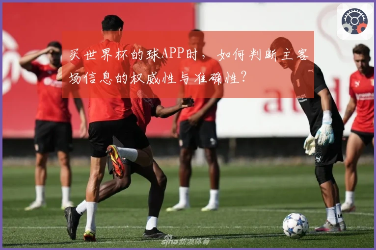买世界杯的球APP时，如何判断主客场信息的权威性与准确性？