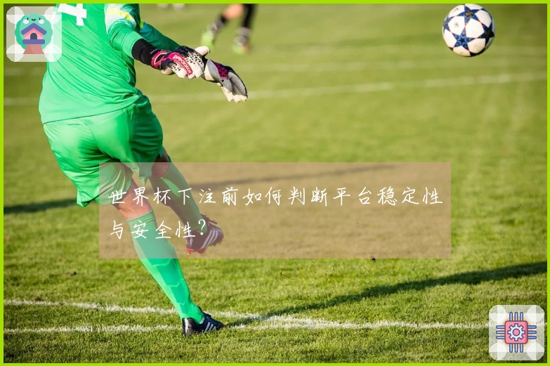 世界杯下注前如何判断平台稳定性与安全性？