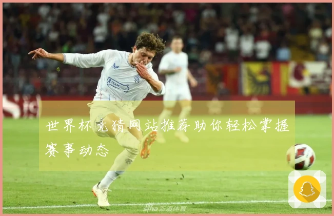 世界杯竞猜网站推荐助你轻松掌握赛事动态