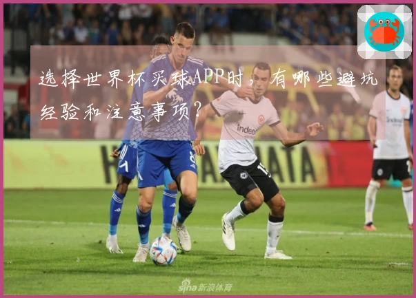 选择世界杯买球APP时，有哪些避坑经验和注意事项？