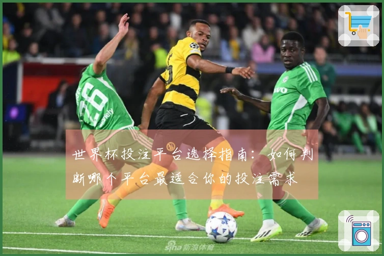 世界杯投注平台选择指南：如何判断哪个平台最适合你的投注需求