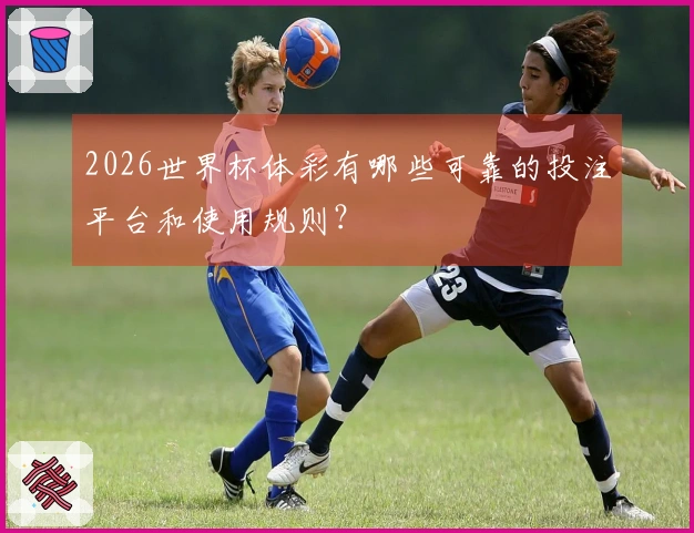 2026世界杯体彩有哪些可靠的投注平台和使用规则？