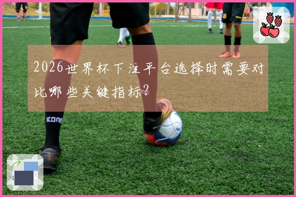 2026世界杯下注平台选择时需要对比哪些关键指标？