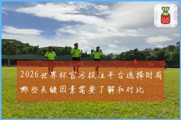 2026世界杯官方投注平台选择时有哪些关键因素需要了解和对比