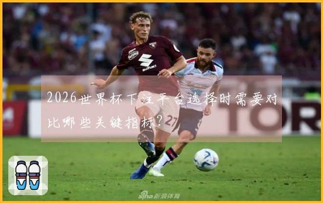 2026世界杯下注平台选择时需要对比哪些关键指标？