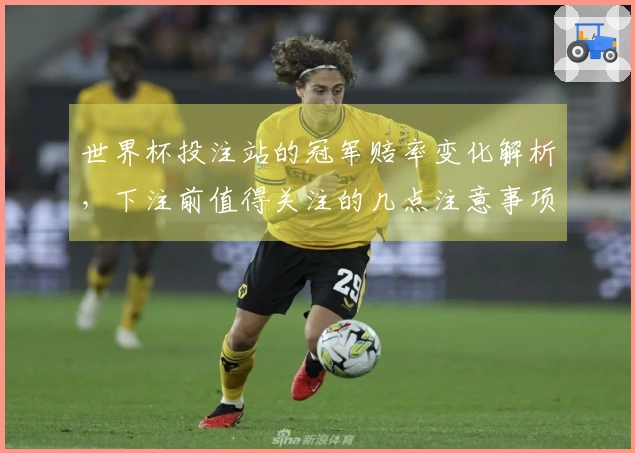 世界杯投注站的冠军赔率变化解析，下注前值得关注的几点注意事项