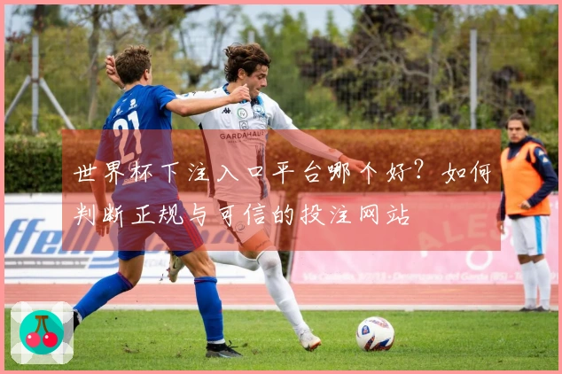 世界杯下注入口平台哪个好？如何判断正规与可信的投注网站