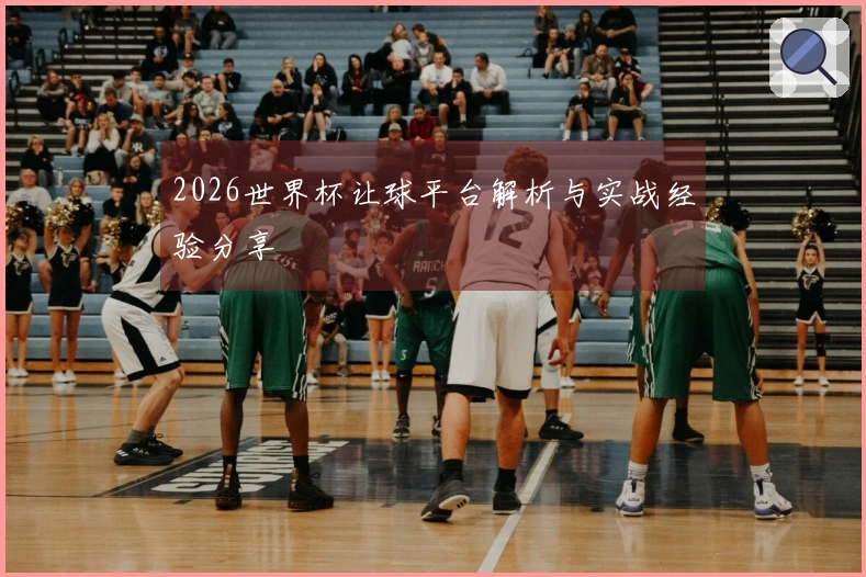 2026世界杯让球平台解析与实战经验分享