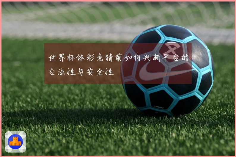 世界杯体彩竞猜前如何判断平台的合法性与安全性