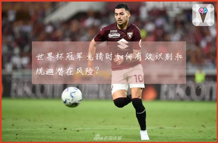 世界杯冠军竞猜时如何有效识别和规避潜在风险？
