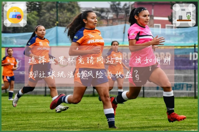 选择世界杯竞猜网站时，该如何辨别让球玩法的风险与收益？
