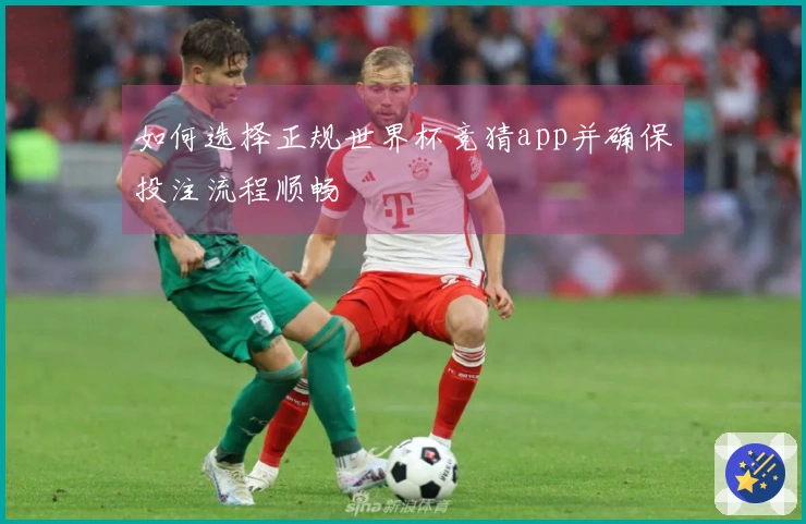 如何选择正规世界杯竞猜app并确保投注流程顺畅