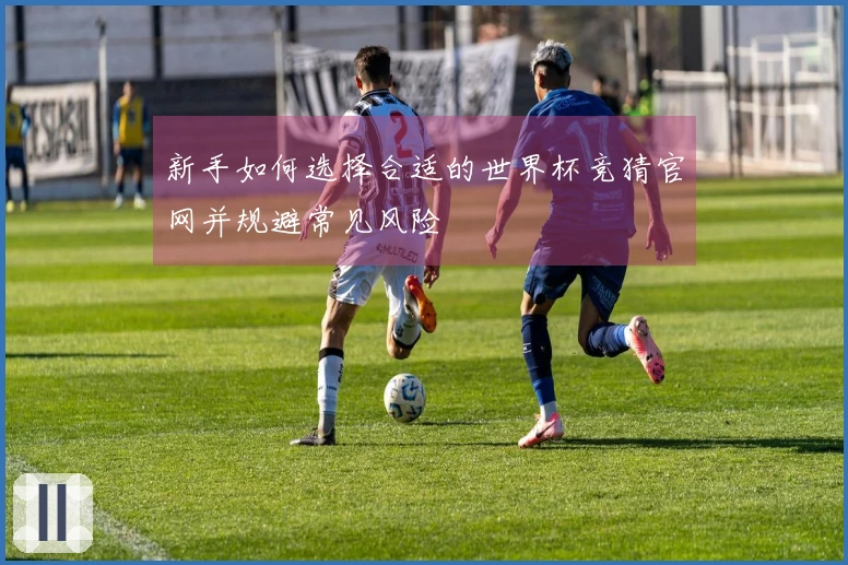新手如何选择合适的世界杯竞猜官网并规避常见风险