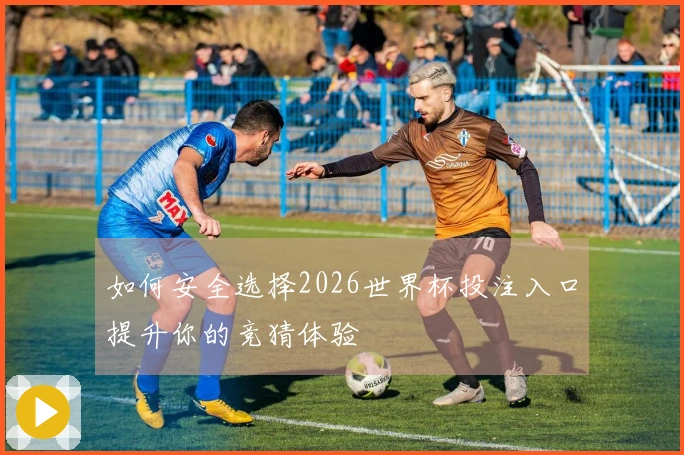 如何安全选择2026世界杯投注入口提升你的竞猜体验