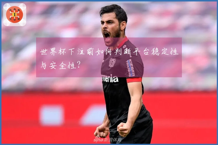 世界杯下注前如何判断平台稳定性与安全性？