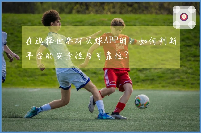 在选择世界杯买球APP时，如何判断平台的安全性与可靠性？