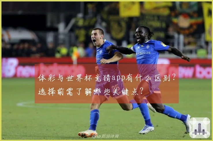 体彩与世界杯竞猜app有什么区别？选择前需了解哪些关键点？