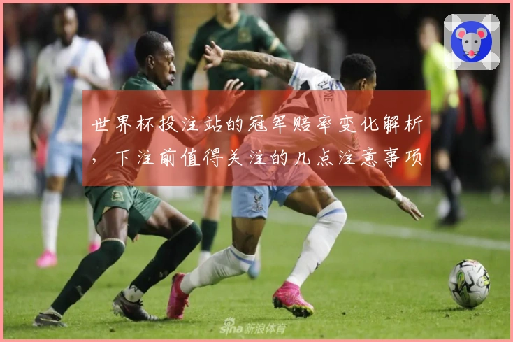 世界杯投注站的冠军赔率变化解析，下注前值得关注的几点注意事项